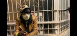 Stream: “The Corona Virus Killer (Trailer)”